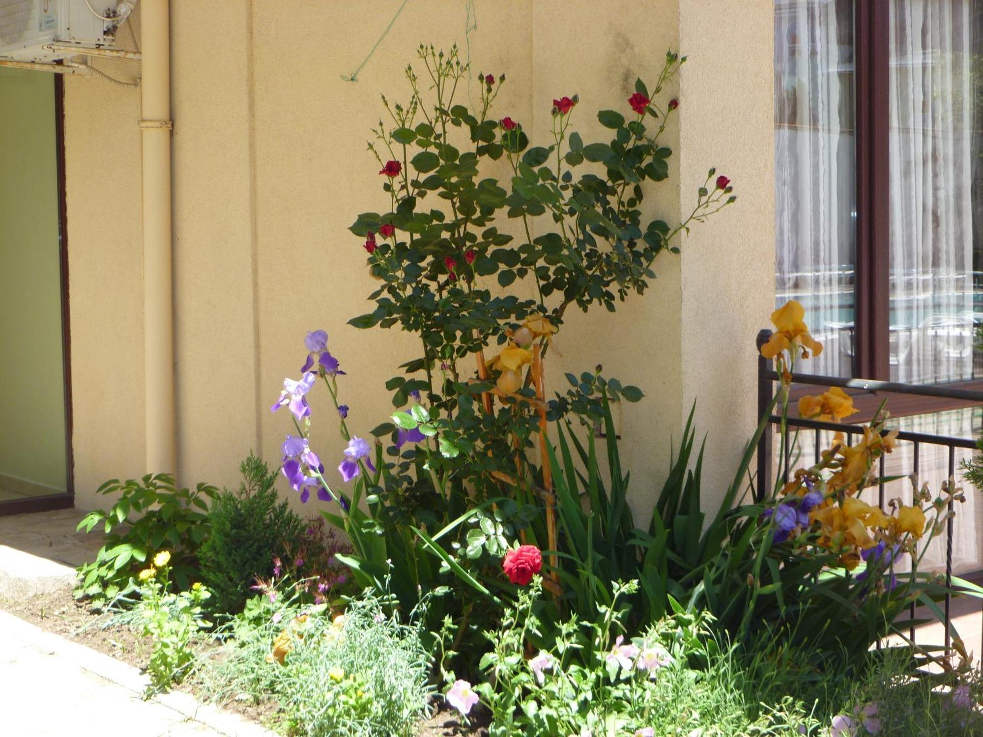 Apartment Tourist Complex Rose Village Sunny Beach Dış mekan fotoğraf